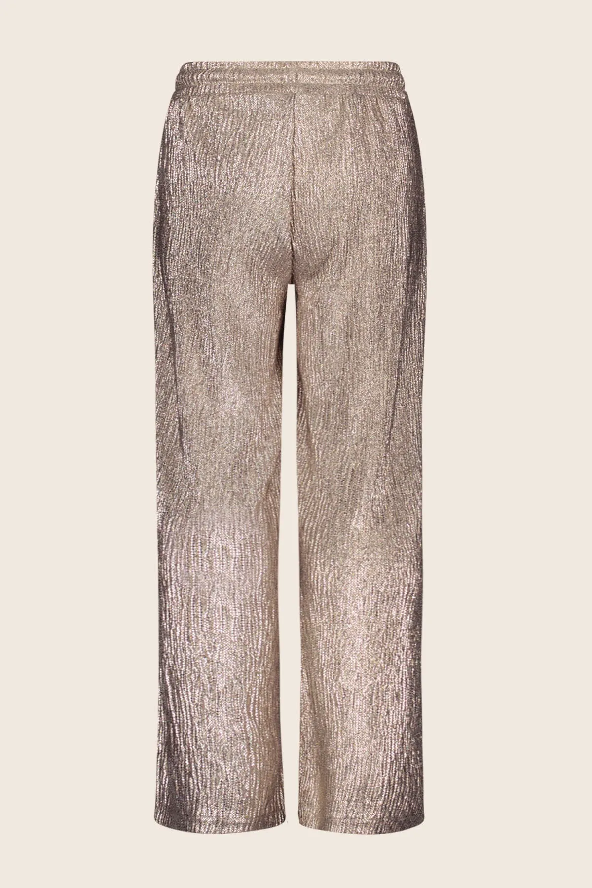 Fenya Pants Glitter